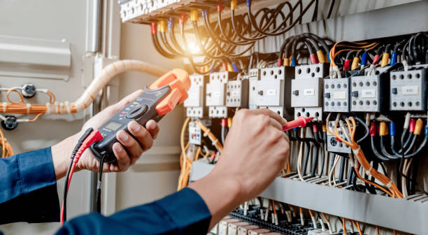 Best Electric Panel Repair  in Andrews, SC